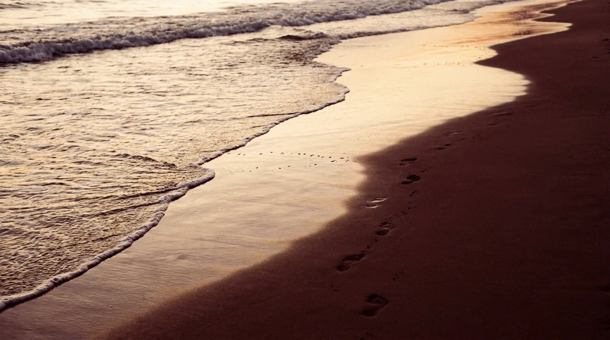 Eine Welle zieht sich am Abendstrand zurück und hinterlässt glänzenden Sand